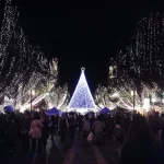 11月12日の6時すぎ、カウントダウンと共に一斉に点灯。