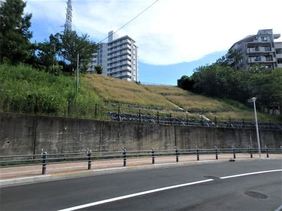 梅雨の時期を過ぎて落ち着いている。