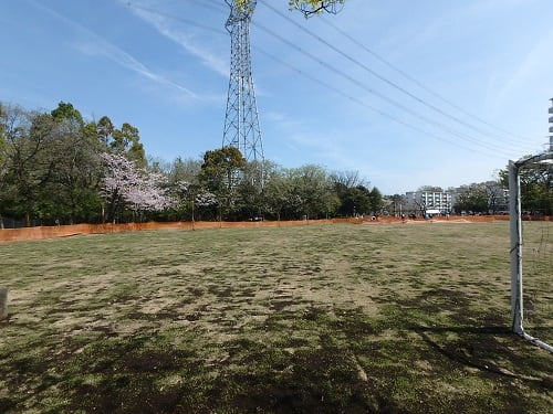 公園南側よりの芝生広場、芝は７月まで養生。